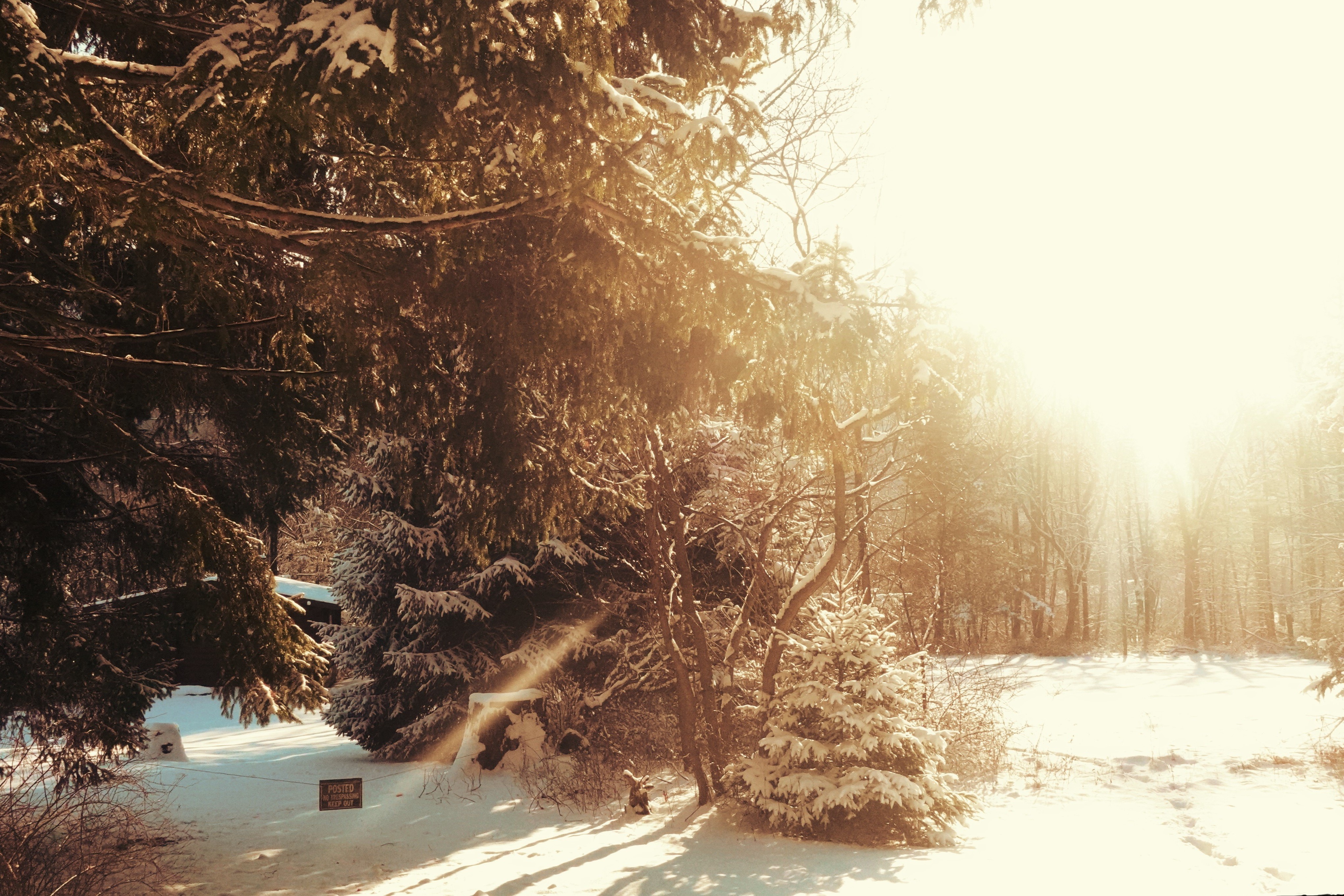 Poconos